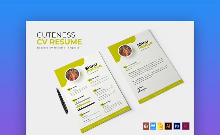 18 Free Cute Resume Templates With Fun Designs For 2022
